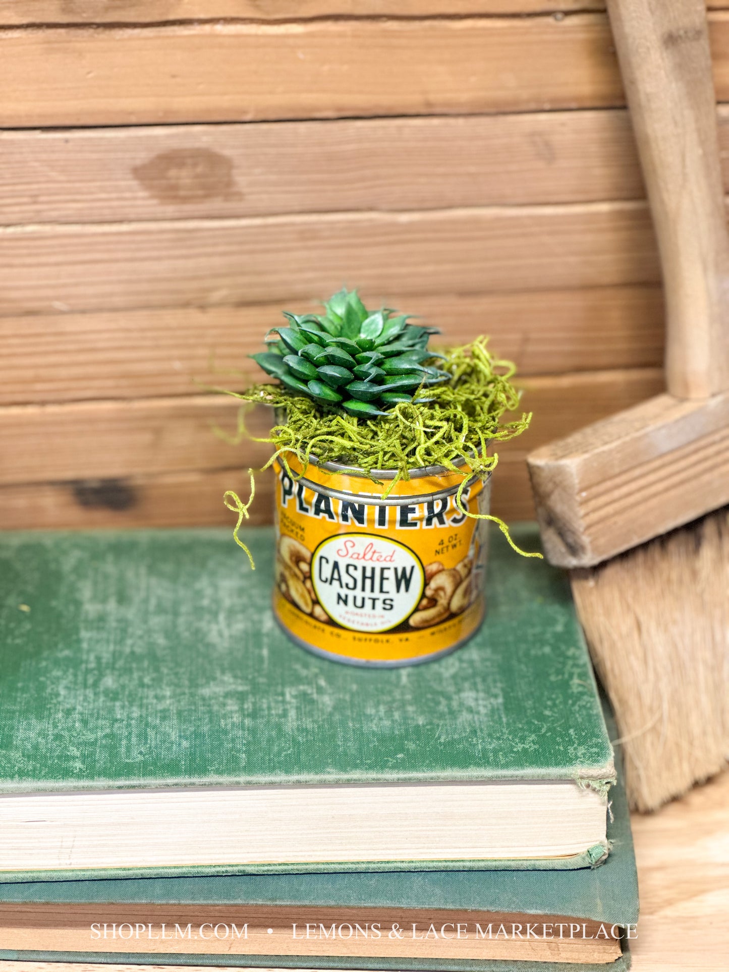 Planters Tin Succulent Floral