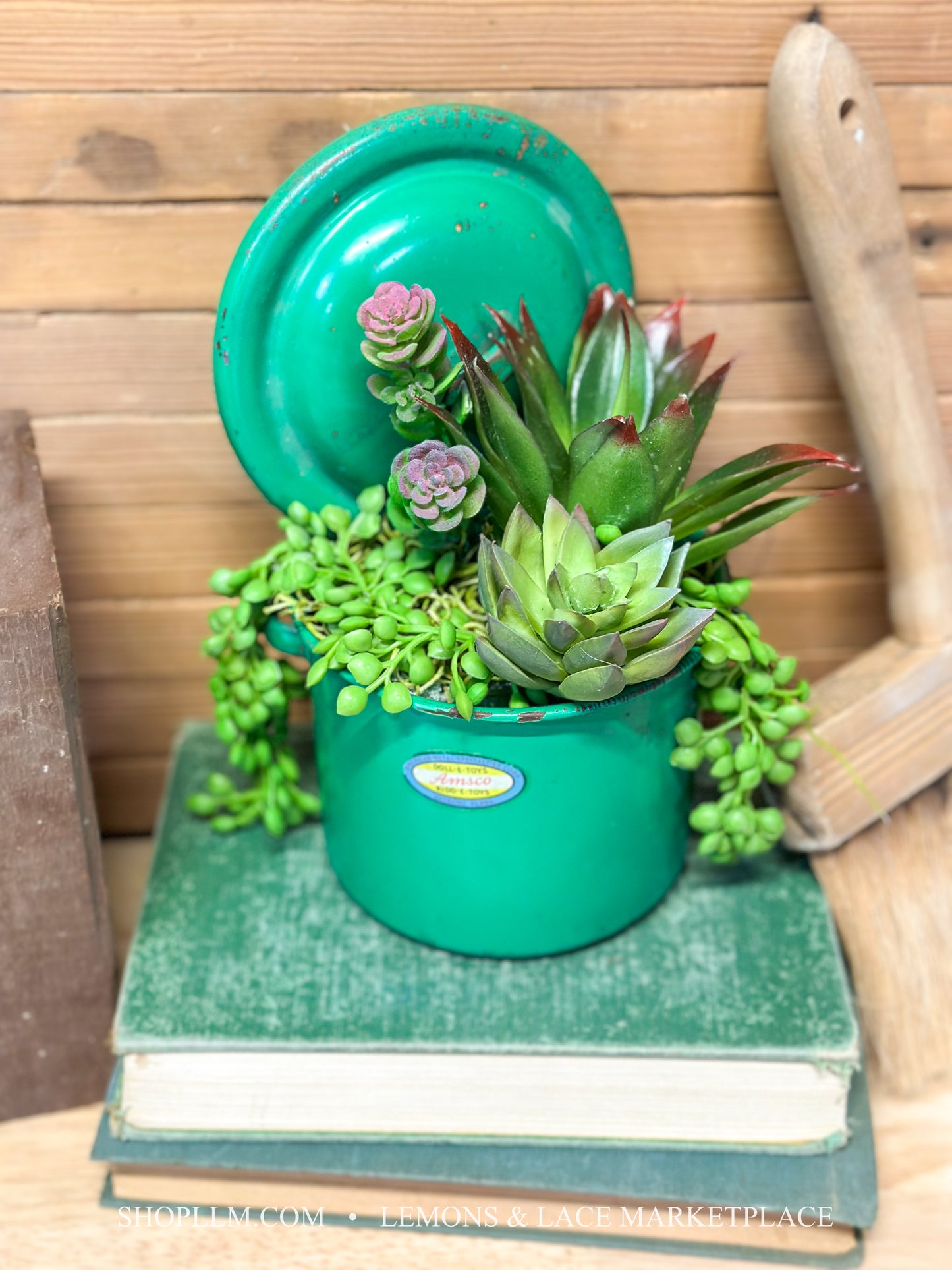 Amsco Green Pot Succulent Floral