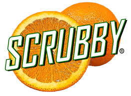 Scrubby Soap