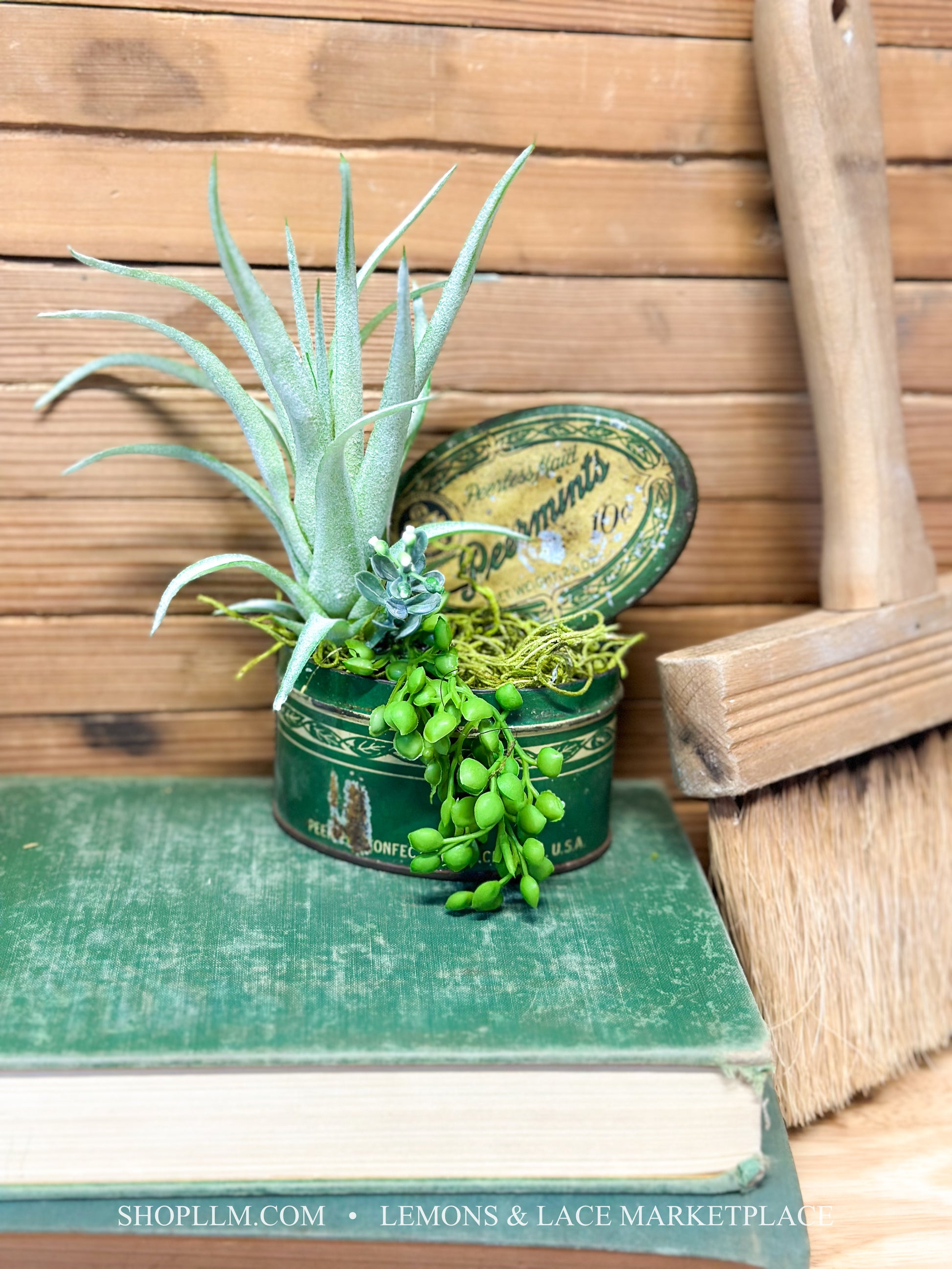 succulent marketplace usa Peermints Tin Can Succulent Floral – Lemons and Lace Marketplace