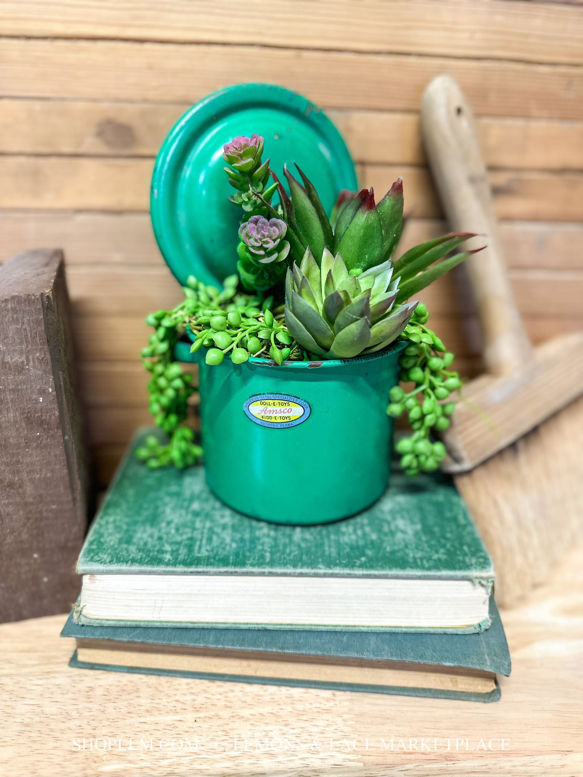 succulent marketplace Amsco Green Pot Succulent Floral – Lemons and Lace Marketplace